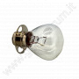 Lampadina per Proporzionscope 6.3V/25W