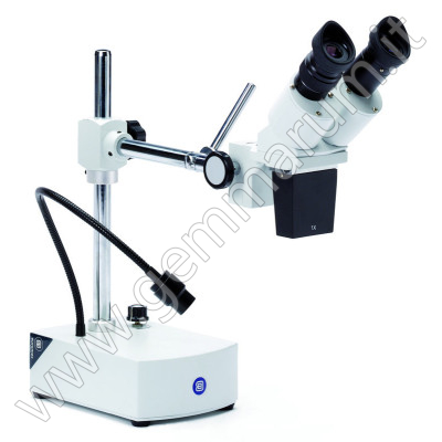 Euromex stereozoom overhanging Microscope